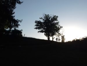 A l’origine du MEJ…